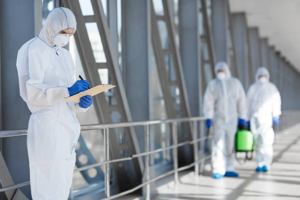 Best Water Damage & Mold Remediation  in Moreauville, LA